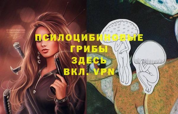 каннабис Гусиноозёрск