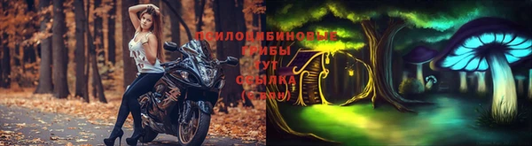 каннабис Гусиноозёрск