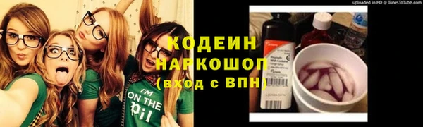ПСИЛОЦИБИНОВЫЕ ГРИБЫ Гусь-Хрустальный