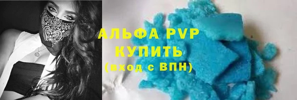 ПСИЛОЦИБИНОВЫЕ ГРИБЫ Гусь-Хрустальный