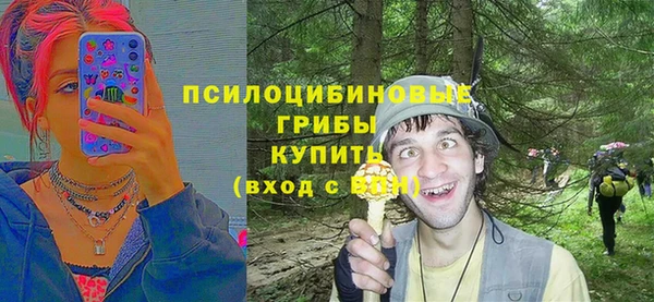 каннабис Гусиноозёрск