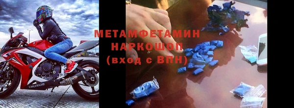 ПСИЛОЦИБИНОВЫЕ ГРИБЫ Гусь-Хрустальный