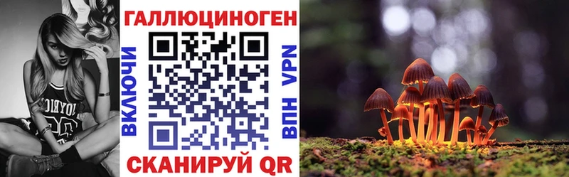 Купить  Татарск  Галлюциногенные грибы MAGIC MUSHROOMS 